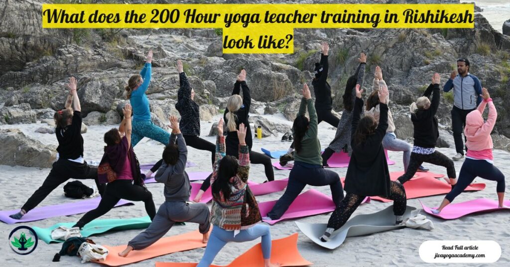 What does the 200 Hour yoga teacher training in Rishikesh look like