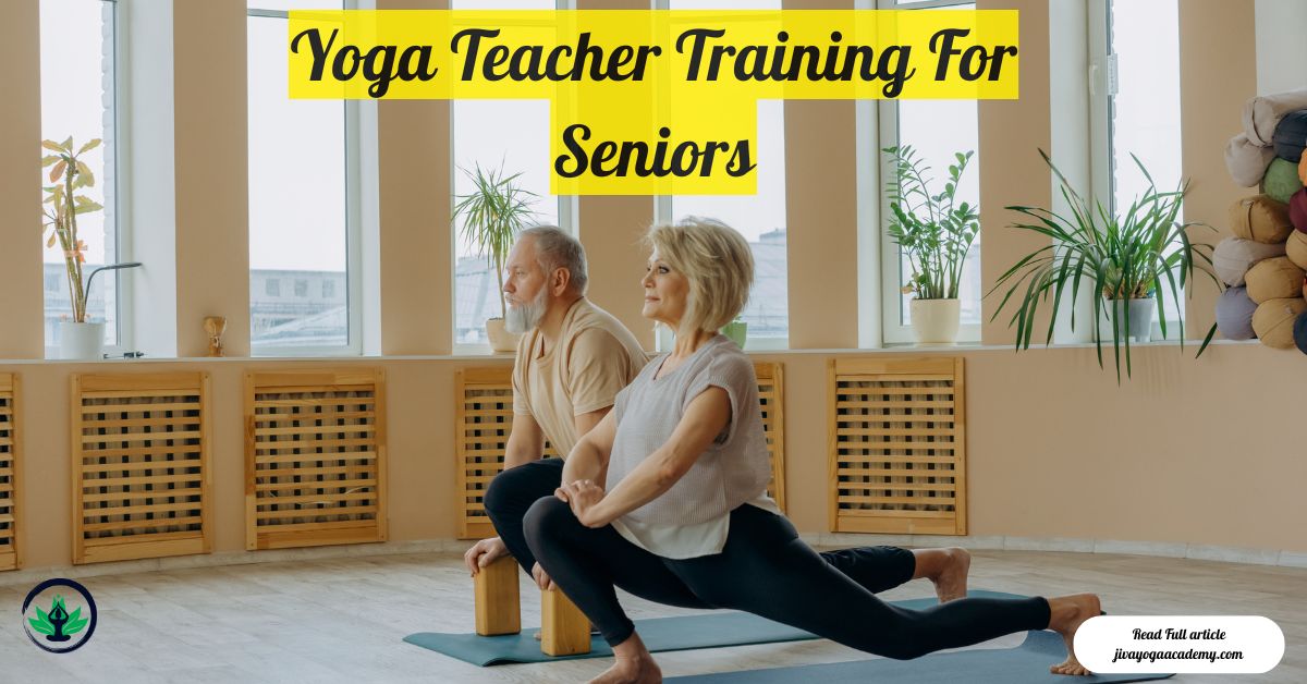 Yoga Teacher Training For Seniors