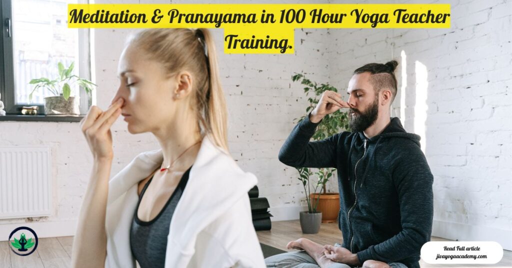 Meditation & Pranayama in 100 Hour Yoga Teacher Training.