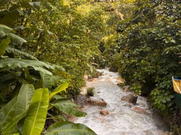 Jiva Yoga waterstream