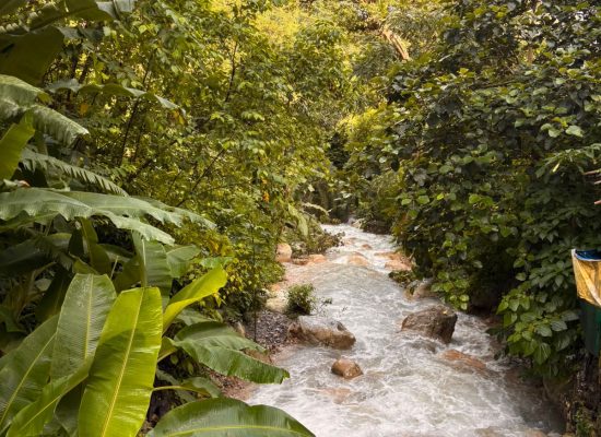 Jiva Yoga waterstream